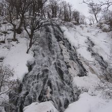 冬は完全に凍っているのかと思ったら、普通に流れてました。