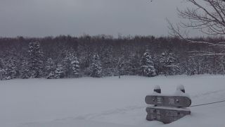 知床５湖を全てを歩きたいなら冬！