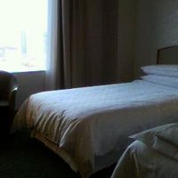 タワーズフロアの客室です