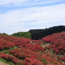 葛城高原