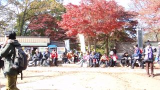 東京から近いのに自然がいっぱい