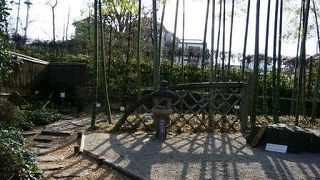板橋区立の入園無料の植物園