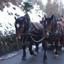 上りは、馬車もｵｽｽﾒです