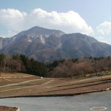 一面ではありません。武甲山との光景が良いです。