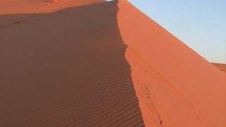 サハラ砂漠のテントに泊まりました！朝は砂丘を登って朝日を眺めました。素晴らしい経験でした。