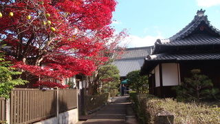 身代わりのお釈迦様