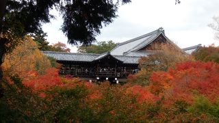 橋の上から見る紅葉は絶景