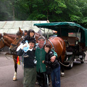 フッセンからバス＆馬車