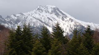 グリーンシーズンのスキー場