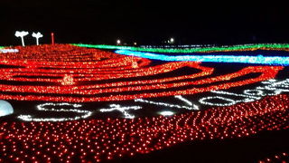 イルミネーション