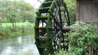 豊かな水が湧き出す