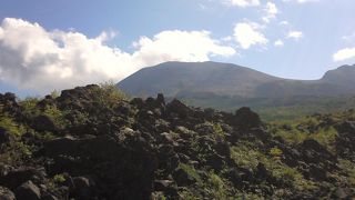 不思議な光景でした。。