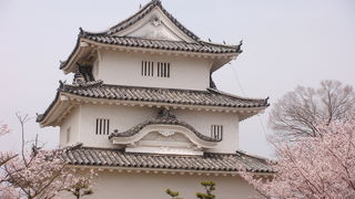 日本一の石垣