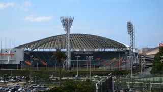 沖縄セルラースタジアムが目の前