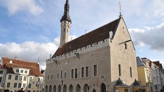 ラエコヤ広場に面しています。