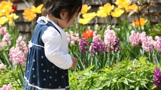 お天気のいい日にゆっくりしに行きたい場所★