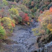 秋・・・満天の紅葉！！