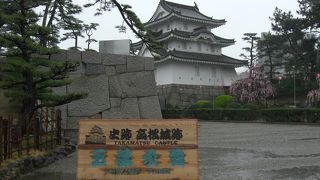 鯛はどこだい？