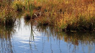 秋・・・神秘的！！