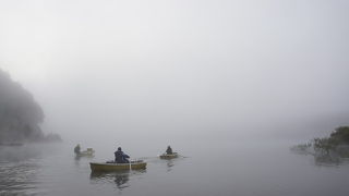 釣りをしなくても楽しめます