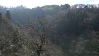 冬に行っても・・・