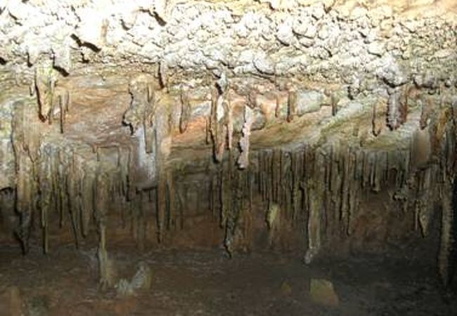 面不動鍾乳洞 クチコミ アクセス 営業時間 洞川温泉 大峰山 天川 フォートラベル 面不動鍾乳洞 クチコミ アクセス 営業時間 洞川温泉 大峰山 天川 フォートラベル