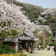 地元の方に愛されるスポット