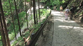 定番だけど気持ちのいいハイキングコース