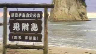 迫力あります！