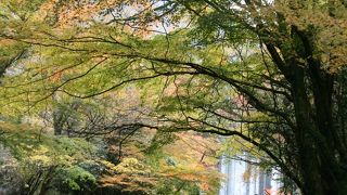 天城街道の紅葉の名所！