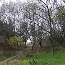 緑がいっぱいで、うぐいすも鳴いていました。