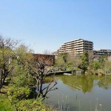 カワセミのえさ場