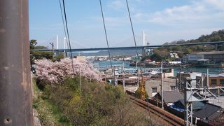 春だ、桜だ、千光寺