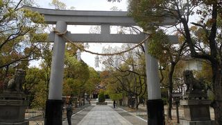 三宮・元町・新神戸の絶景ポイントはここ！