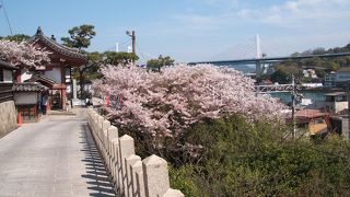 疲れるので、子供はつれてこない方が・・・