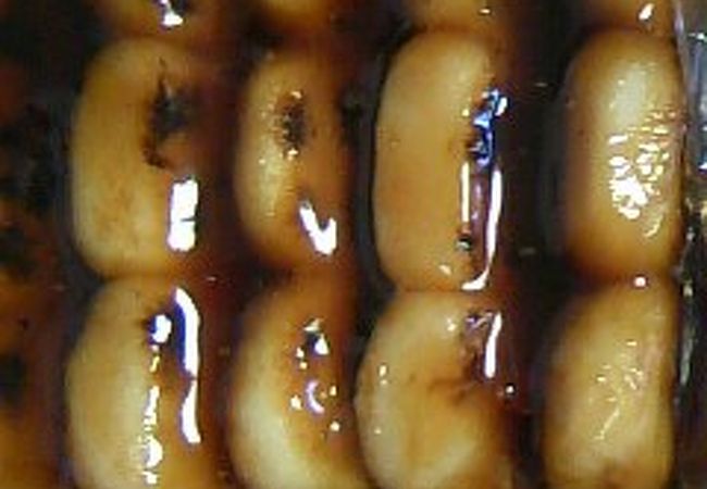 「甘党まえだ」のみたらし団子モチモチで美味しいんです♪