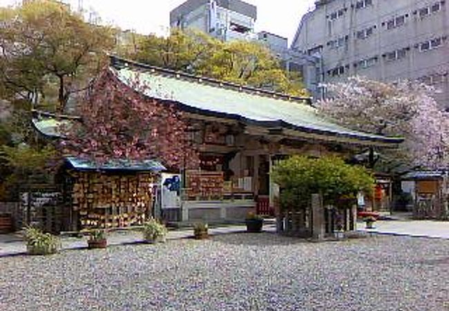露天神社 お初天神 クチコミ アクセス 営業時間 キタ 大阪駅 梅田 フォートラベル 露天神社 お初天神 クチコミ アクセス 営業時間 キタ 大阪駅 梅田 フォートラベル