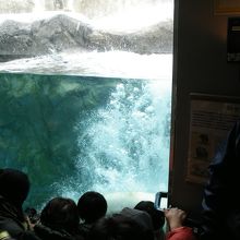 ベストショット！・・・ならず。