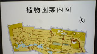 水道橋・本郷の絶景ポイントはここ