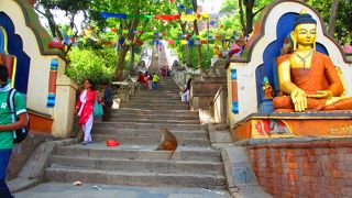 通称モンキーテンプル、その名の通り