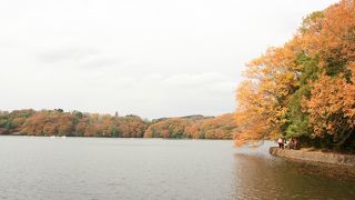 紅葉がきれいです！