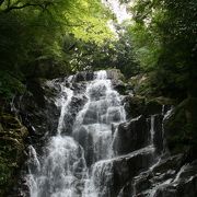 福岡の清涼スポット