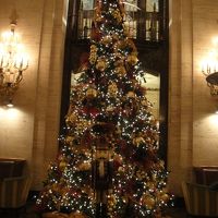 ロビーにあったクリスマスツリーです