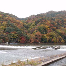 嵐山の紅葉