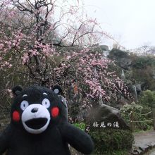 梅園内、梅見の滝です。