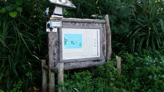 潮、時間、天候を選んだ方がいい