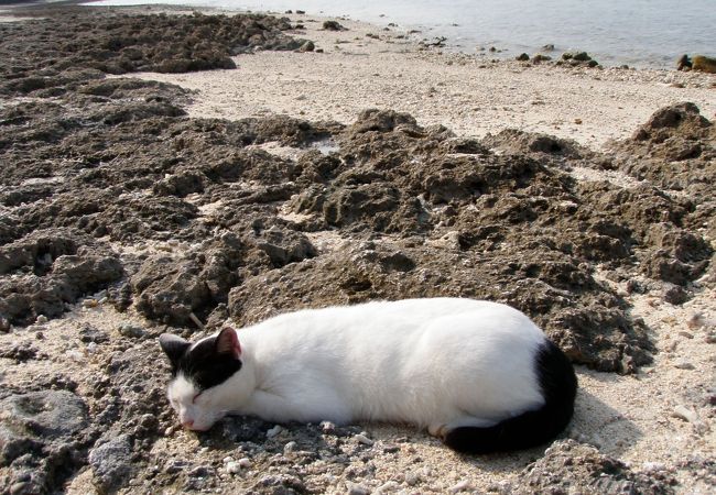 カイジ浜