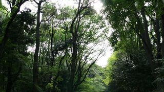 設備の充実した大きな公園