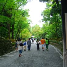 金閣寺への入口に向かう道