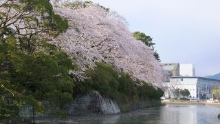 観光地、というよりは市民の憩いの場